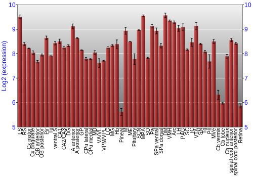 Expression graph