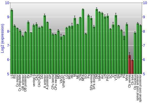 Multi-state expression graph
