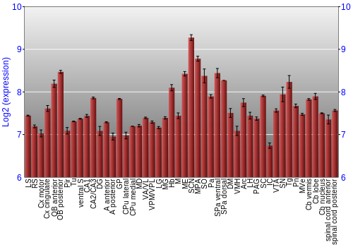 Multi-state expression graph
