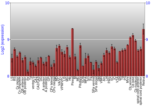 Expression graph