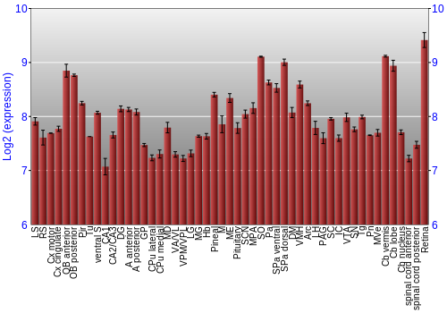 Expression graph