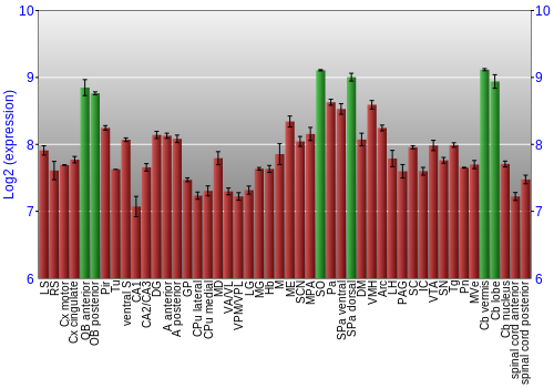 Multi-state expression graph