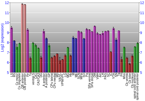 Multi-state expression graph