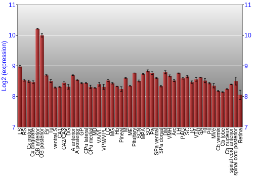 Expression graph