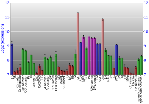 Multi-state expression graph