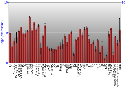Expression graph