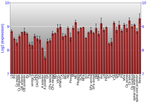Expression graph