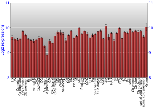 Expression graph