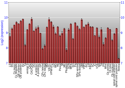 Expression graph