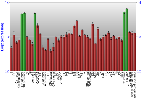 Multi-state expression graph