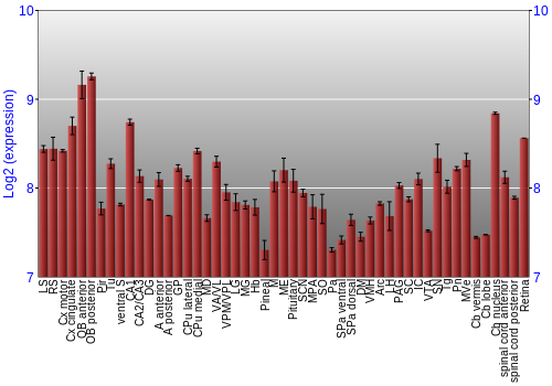 Expression graph
