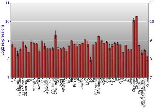 Expression graph