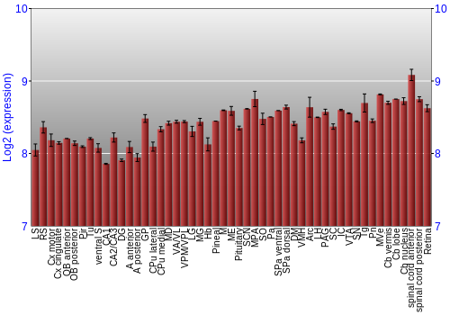 Expression graph