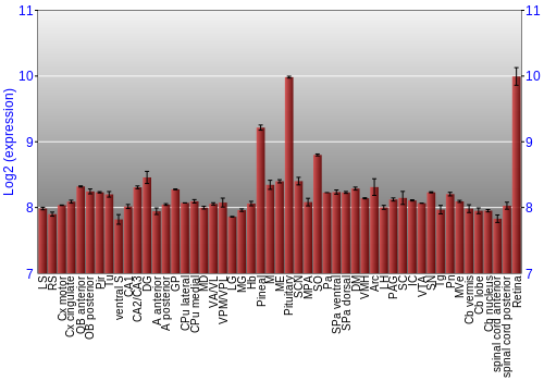 Expression graph