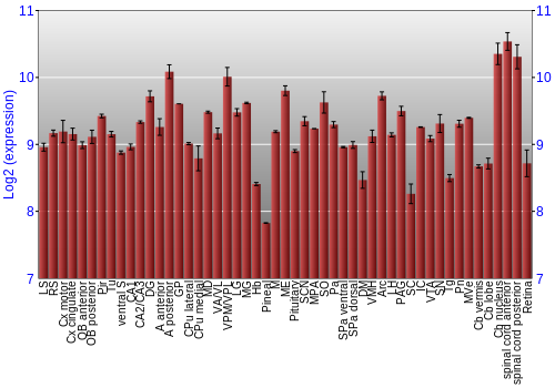 Expression graph