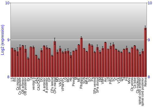 Expression graph