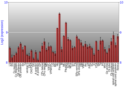Expression graph