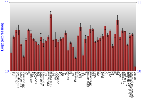 Expression graph