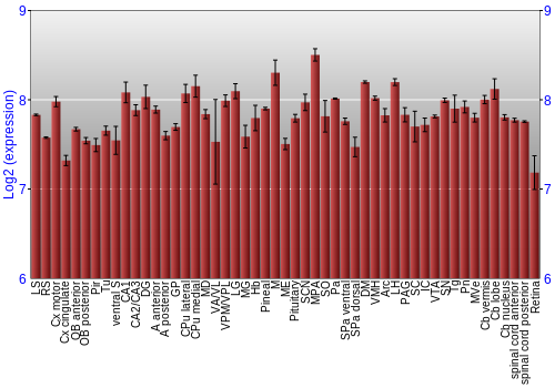 Expression graph