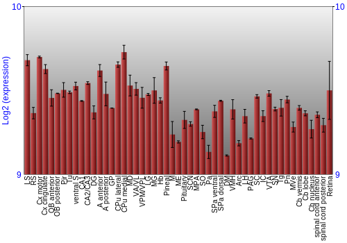 Expression graph
