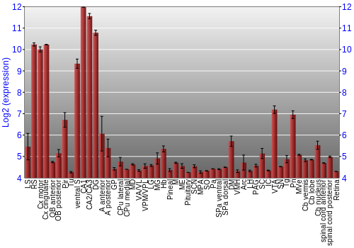 Expression graph