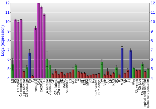 Multi-state expression graph
