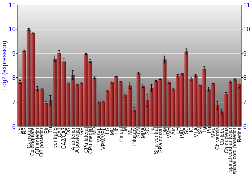 Expression graph