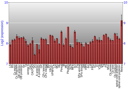 Expression graph