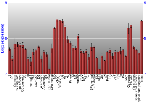 Expression graph
