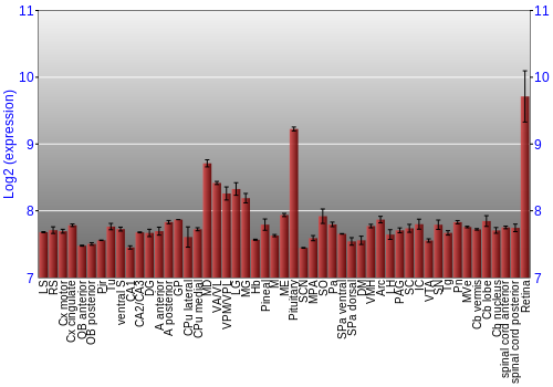 Expression graph