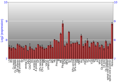 Expression graph