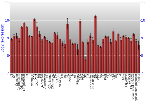 Expression graph