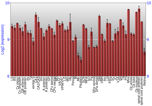 Expression graph