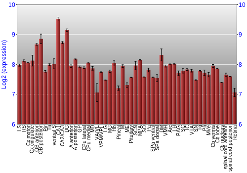 Expression graph