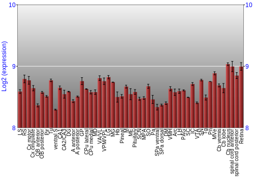 Expression graph