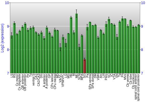 Multi-state expression graph