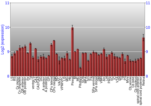 Expression graph