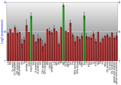 Multi-state expression graph
