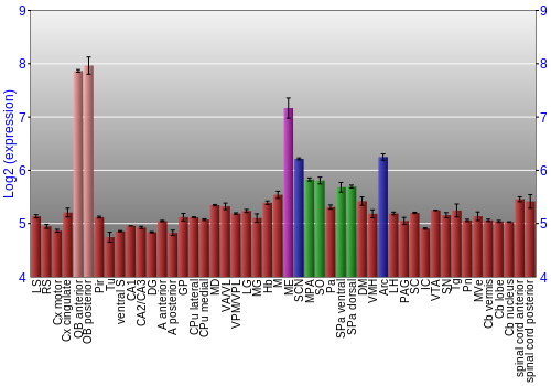 Multi-state expression graph