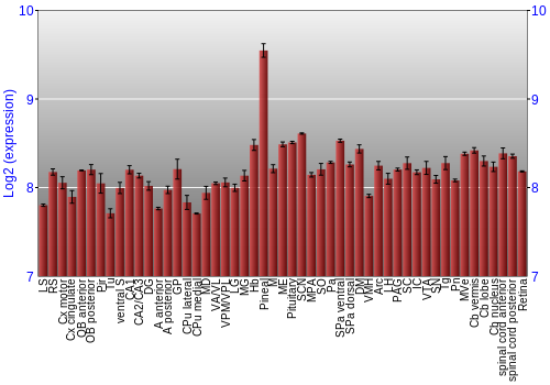 Expression graph