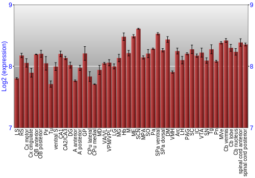 Multi-state expression graph