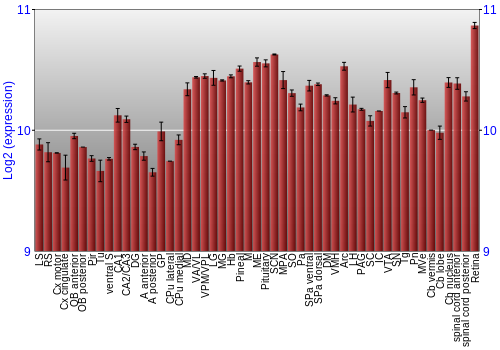 Expression graph