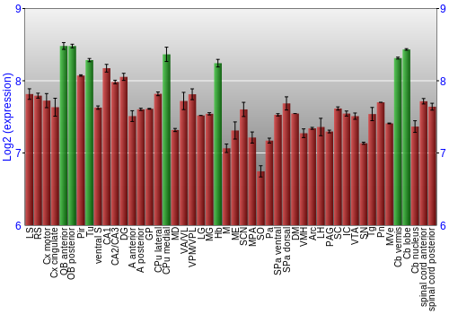 Multi-state expression graph