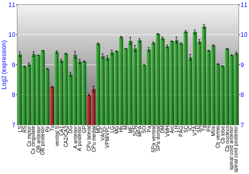 Multi-state expression graph
