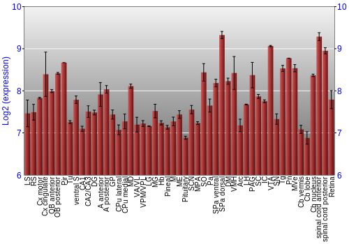 Expression graph