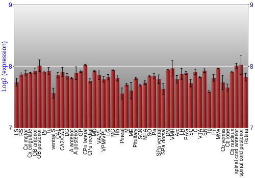 Expression graph