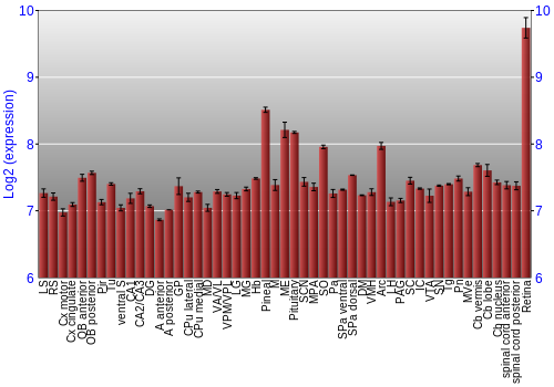 Expression graph