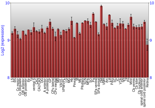 Expression graph