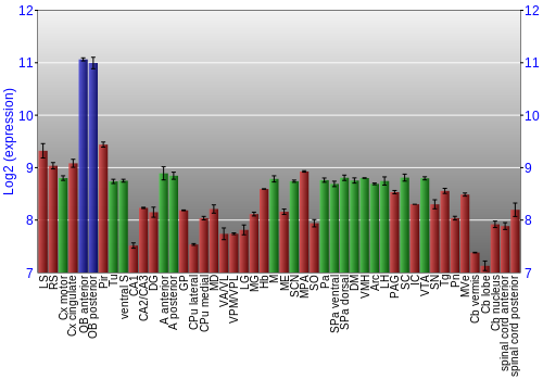 Multi-state expression graph