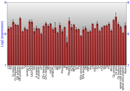 Expression graph